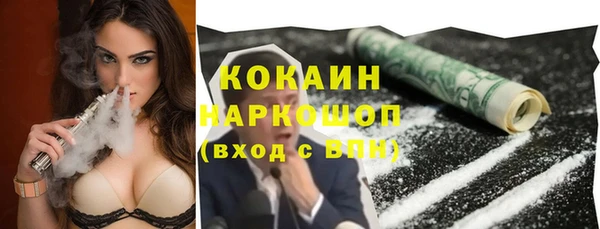 бошки Алексин