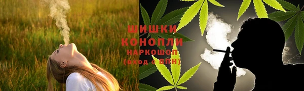бошки Алексин