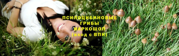 бошки Алексин