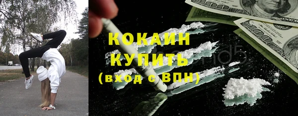 бошки Алексин