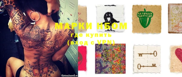 бошки Алексин