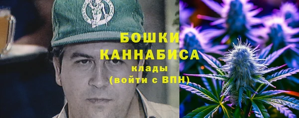бошки Алексин